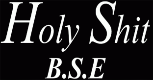 logo Holy Shit BSE